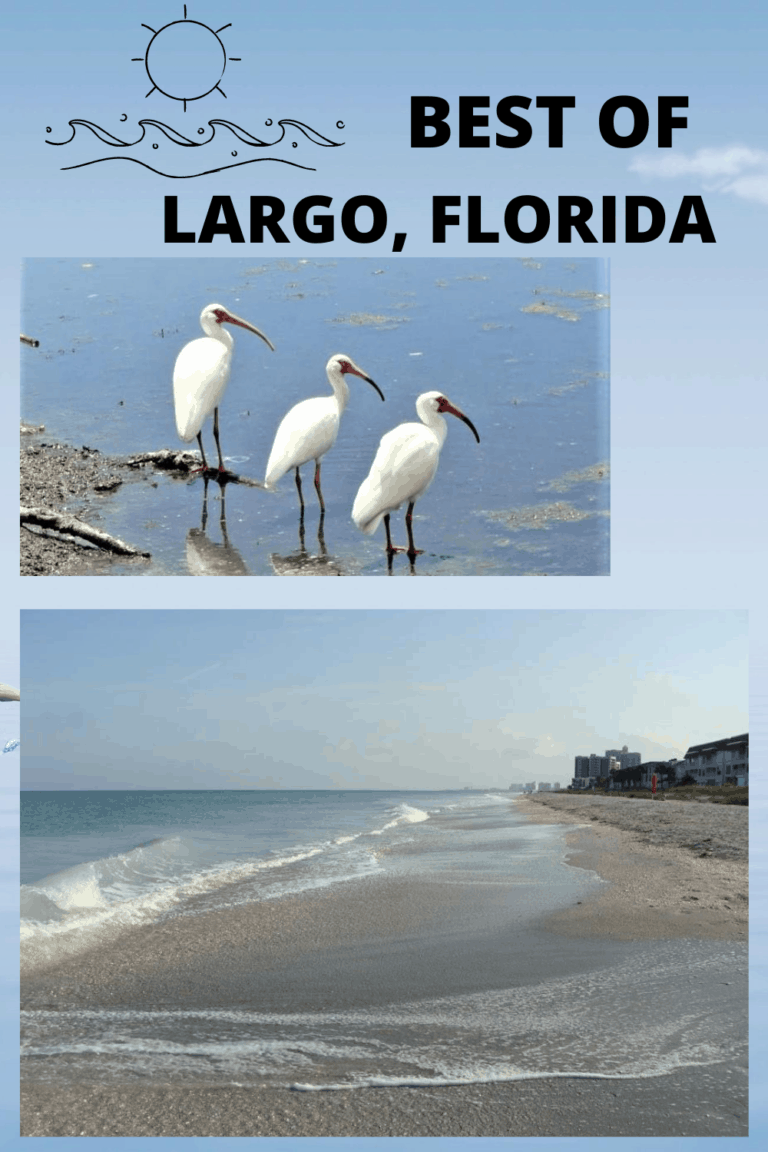 The Best of Largo, Florida Travel & Lifestyle Blog