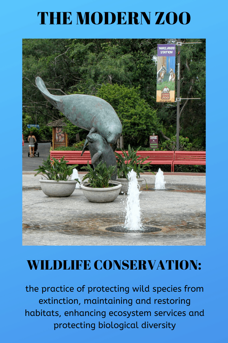 THEMODERNZOO Travel & Lifestyle Blog