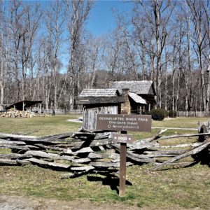 Log House