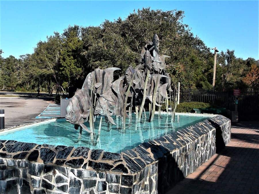 Aquarium fountain