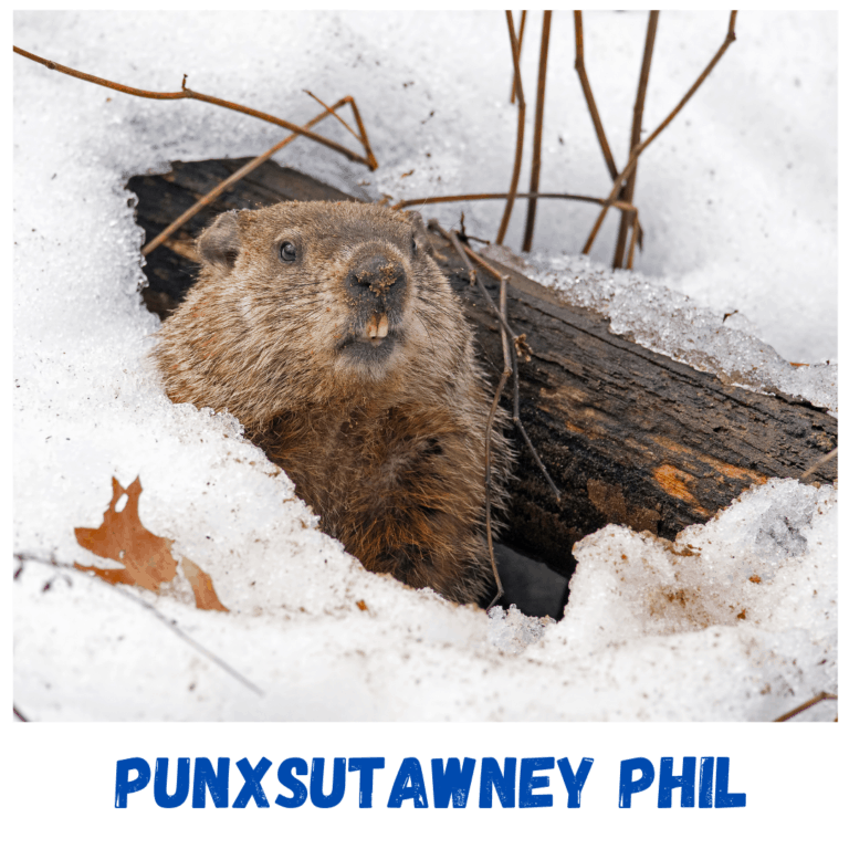 Things to do in Punxsutawney, PA