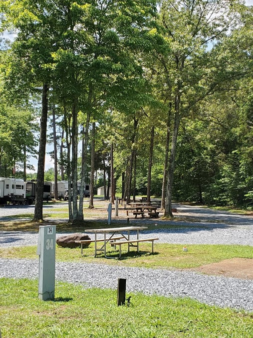 Zooland campground campsites