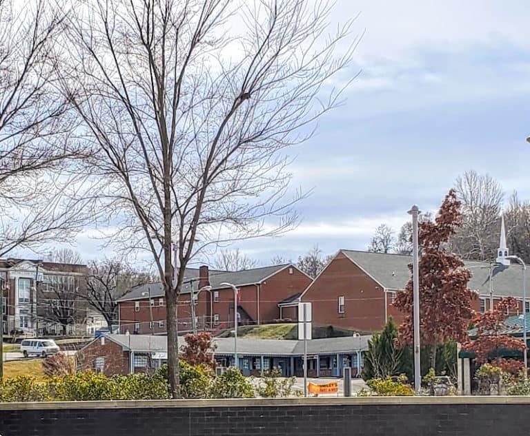 Travel & Lifestyle Blog